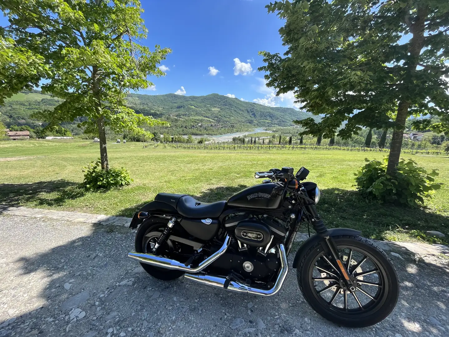 Harley-Davidson Iron 883 iron - 1