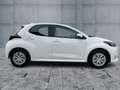 Toyota Yaris 1.5 Hyb. Business Edition Weiß - thumbnail 7