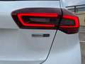 Ford Focus 1.0 Ecoboost MHEV ST-Line 125 Blanco - thumbnail 28