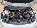 Ford Focus 1.0 Ecoboost MHEV ST-Line 125 Blanco - thumbnail 21
