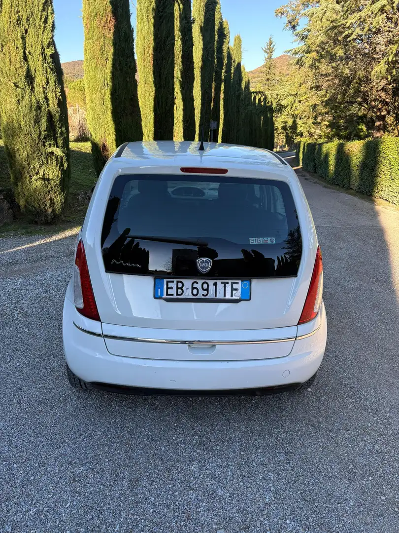 Lancia MUSA 1.4 8v Diva (argento) - 2