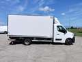 Renault MASTER Weiß - thumbnail 1