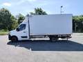 Renault MASTER Weiß - thumbnail 2