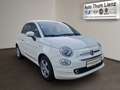 Fiat 500 1.0 Firefly Hybrid 70 Loun Weiß - thumbnail 16