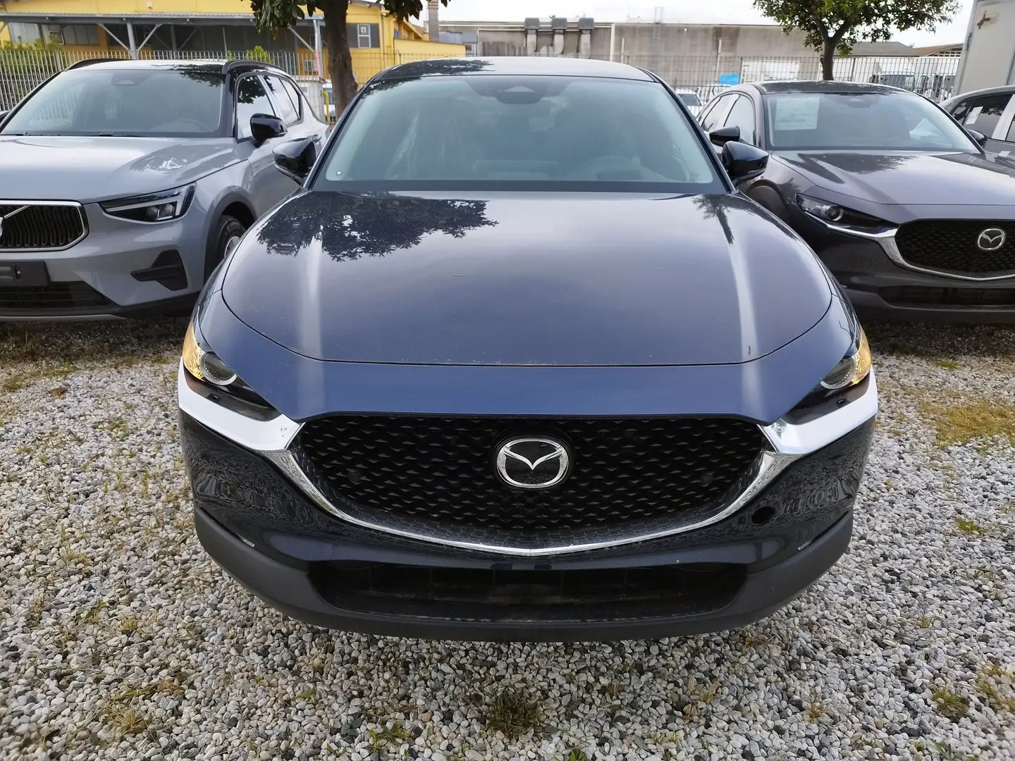 Mazda CX-30 2.5 m-hybrid Homura portel.elettr2wd 140cv 6mt Blu/Azzurro - 2