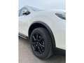 Nissan X-Trail Tekna 1.3 DIG-T 160 PS DCT 4x2 White - thumbnail 13