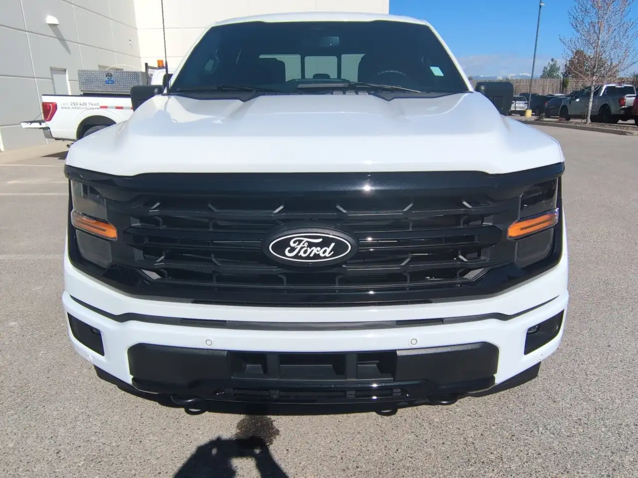 Ford F 150 снимка Ford F 150