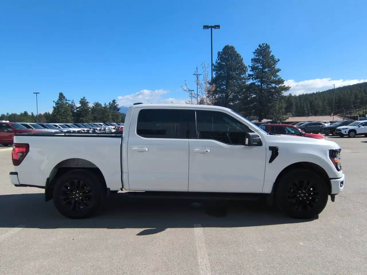 Ford F 150 снимка Ford F 150