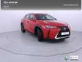 Lexus UX 250h 2.0 Business Rojo - thumbnail 26