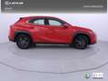 Lexus UX 250h 2.0 Business Rojo - thumbnail 24