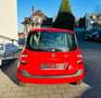 Renault Modus Expression *Zahnr. Neu!* Rot - thumbnail 8