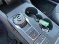 Ford Kuga 2.5 PHEV ST-Line X | Driver Assistance | Winter Pa Blanc - thumbnail 12