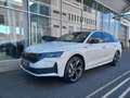 Skoda Octavia Kombi 2,0 TDI Sportline Blanc - thumbnail 2