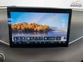 BYD Dolphin Surf Comfort/ACC/LEDER/360°/SHZ/NAV/ 115 kW (156 PS)... Weiß - thumbnail 8