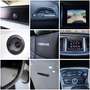 Dodge Challenger 5.7 R/T/KAMERA/SHZ/BTH/MFL/TEMP/R20 Blanc - thumbnail 19