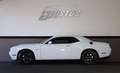 Dodge Challenger 5.7 R/T/KAMERA/SHZ/BTH/MFL/TEMP/R20 Blanc - thumbnail 3