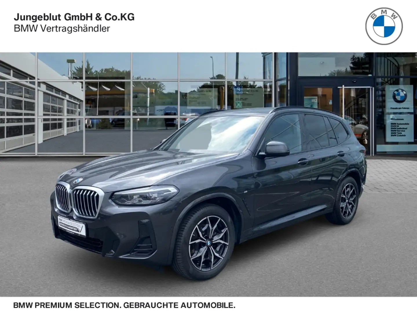 BMW X3 xDrive20i M Sport AHK/LiveCockpit+/Sitzhg./LED-Sch Gris - 1