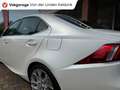 Lexus IS 300 300h Business 2.5 Hybr 2016 Cruise Weiß - thumbnail 10