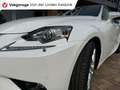 Lexus IS 300 300h Business 2.5 Hybr 2016 Cruise Weiß - thumbnail 9