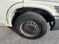 Volkswagen Transporter Transp. 2.5 TDI/88CVcat PL Carav.Comfort Bianco - thumbnail 11