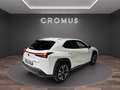 Lexus UX 250h 2.0 Luxury 2wd cvt - thumbnail 4