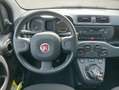 Fiat Panda 1.0 70CV Hybrid OK NEOPATENTATI Grigio - thumbnail 13