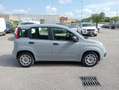 Fiat Panda 1.0 70CV Hybrid OK NEOPATENTATI Grigio - thumbnail 6