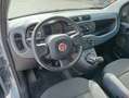 Fiat Panda 1.0 70CV Hybrid OK NEOPATENTATI Grigio - thumbnail 10