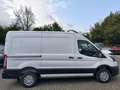 Ford Transit Kasten 310 L2 Trend Bianco - thumbnail 5