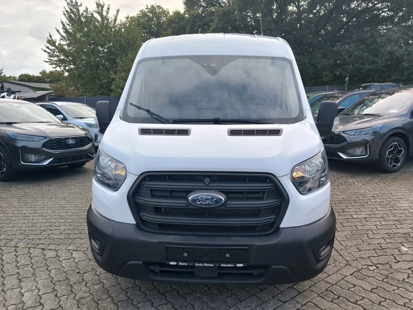 Ford Transit Kasten 310 L2 Trend Bianco - 2