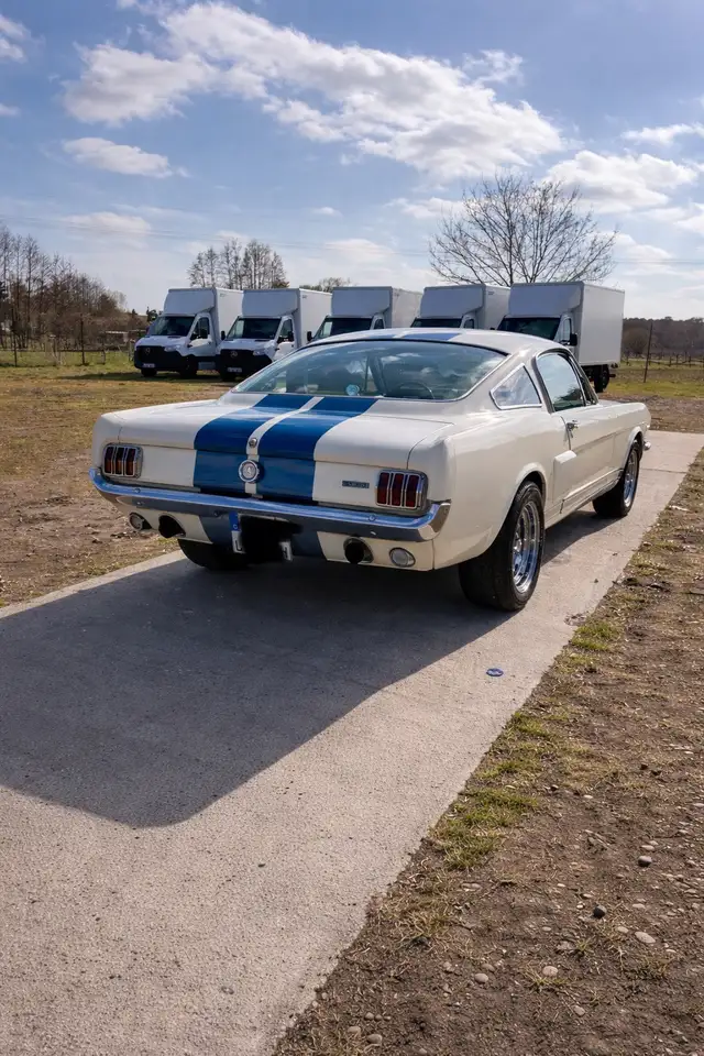 Ford Mustang Fastback 2+2 GT350 Tribute 5 Gang Tremec, foto 6