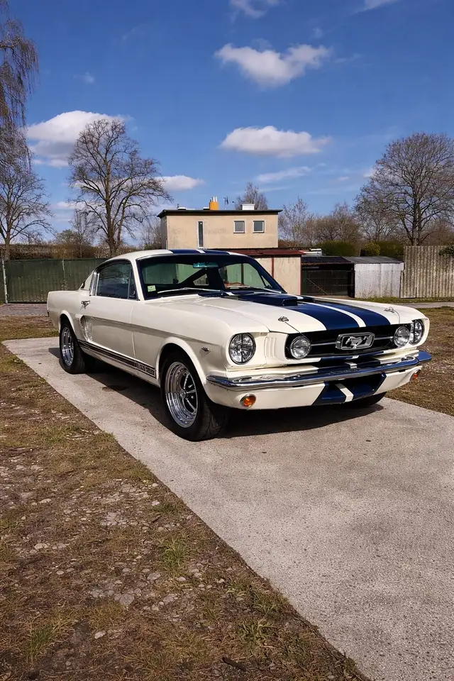 Ford Mustang Fastback 2+2 GT350 Tribute 5 Gang Tremec, foto 3