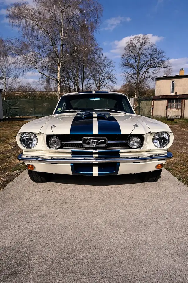 Ford Mustang Fastback 2+2 GT350 Tribute 5 Gang Tremec, foto 2