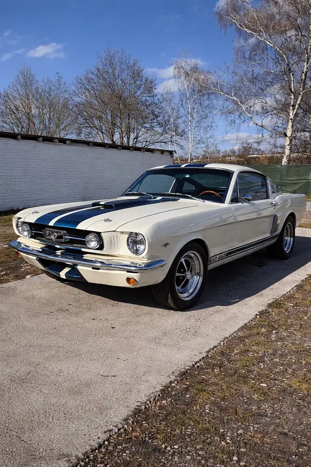 Ford Mustang Fastback 2+2 GT350 Tribute 5 Gang Tremec, foto 1