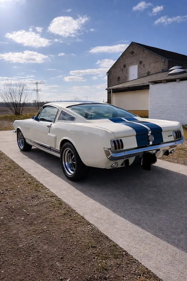 Ford Mustang Fastback 2+2 GT350 Tribute 5 Gang Tremec, foto 4
