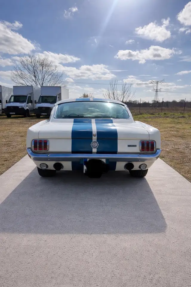 Ford Mustang Fastback 2+2 GT350 Tribute 5 Gang Tremec, foto 5
