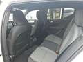 Volvo XC40 B3 Core Fahr-Paket / AHZV / Winter-Paket Weiß - thumbnail 11