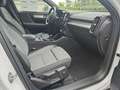 Volvo XC40 B3 Core Fahr-Paket / AHZV / Winter-Paket Weiß - thumbnail 19