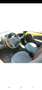 Ford Ka/Ka+ El.Panoramadach  TÜV neu Gelb - thumbnail 9