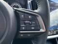 Subaru Crosstrek 2,0i e-Boxer CVT Style Allrad Aut. Argent - thumbnail 11