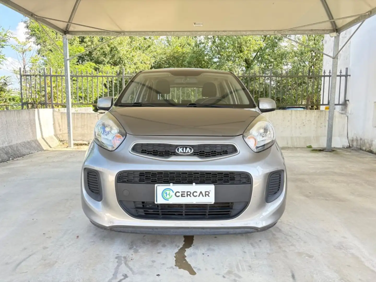 Kia Picanto 1.0 12V EcoGPL 5 porte Active OK NEOPATENTATI Gris - 2