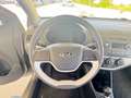 Kia Picanto 1.0 12V EcoGPL 5 porte Active OK NEOPATENTATI Gris - thumbnail 14