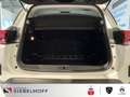 Citroen C5 Aircross Shine PureTech 130 EAT8 *CAM360*Park Weiß - thumbnail 7