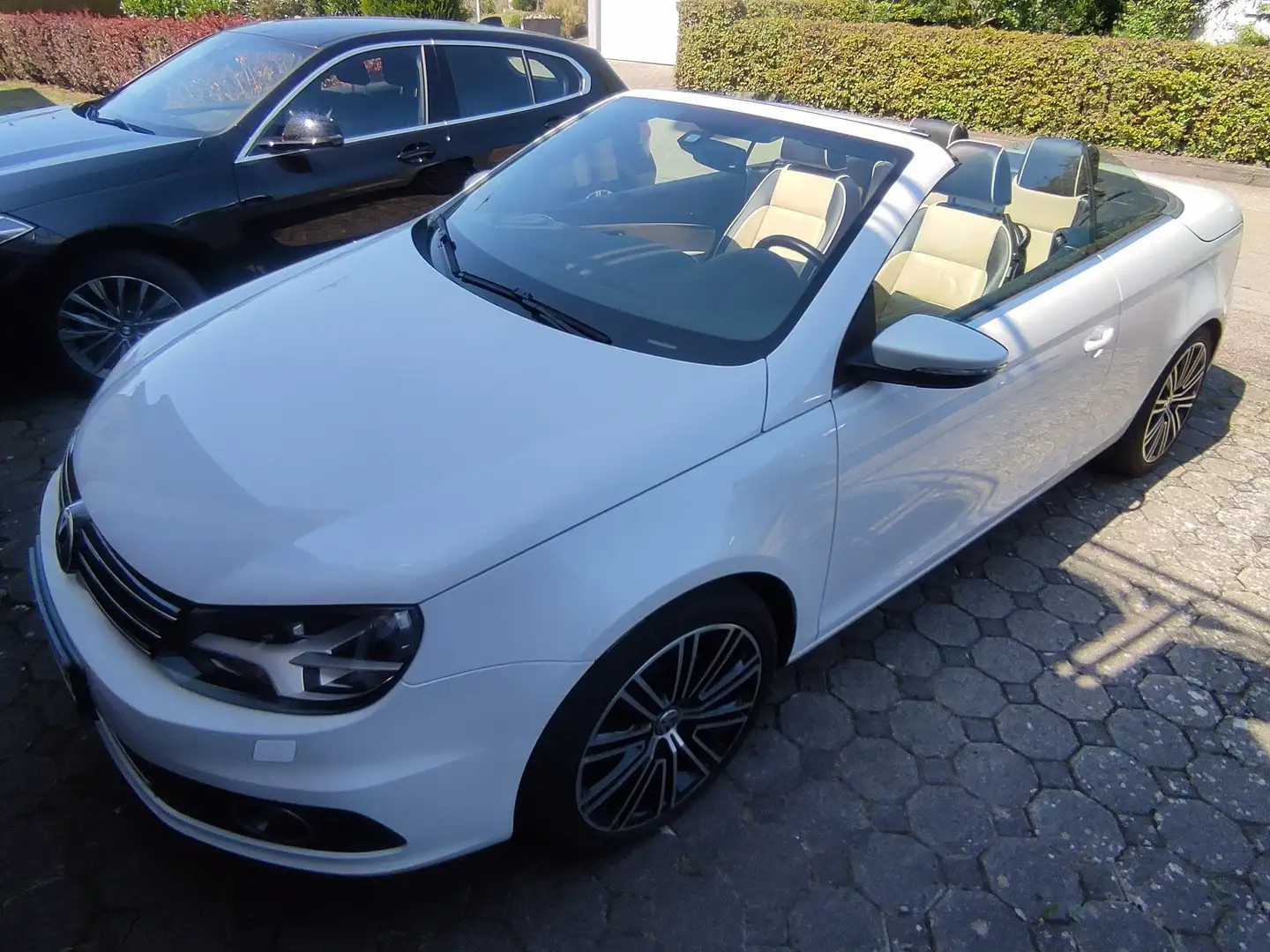 Volkswagen Eos Exclusive TDI DSG Navi * unfallfrei * Scheckheftg Weiß - 1