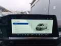 Volkswagen T7 Caravelle VW T7 Caravelle Life LR TDI 4MOTION Grau - thumbnail 11