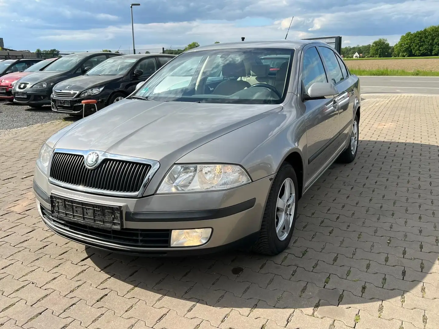 Skoda Octavia Lim. Elegance Automatik Klimatronic tdi Beige - 1