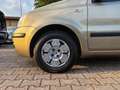 Fiat Panda 1.2 Dynamic AUTOMATICA OK NEOPATENTATI Bronzo - thumbnail 14