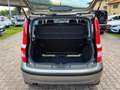 Fiat Panda 1.2 Dynamic AUTOMATICA OK NEOPATENTATI Bronzo - thumbnail 7