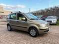 Fiat Panda 1.2 Dynamic AUTOMATICA OK NEOPATENTATI Bronzo - thumbnail 3