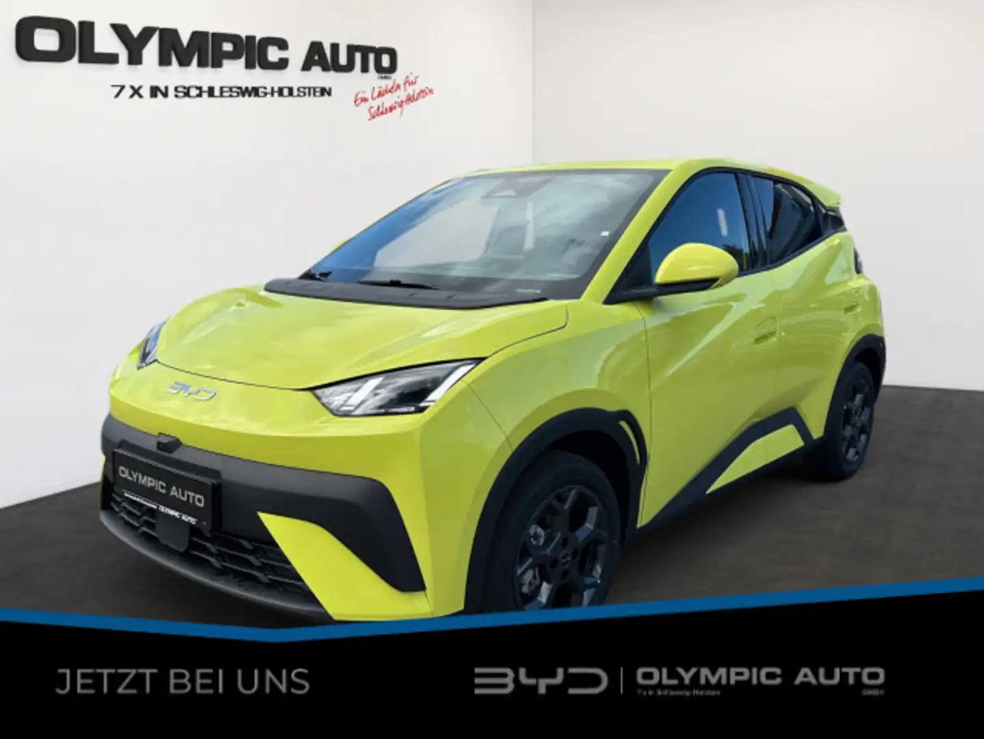 BYD Dolphin Dolphin Surf Comfort 43kWh 360°KAMERA LED SITZHZ Vert - 1